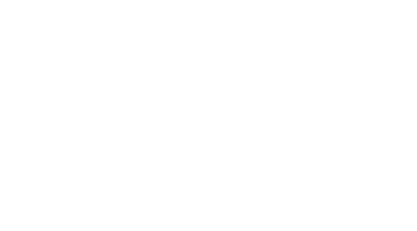Digiso Impex Logo